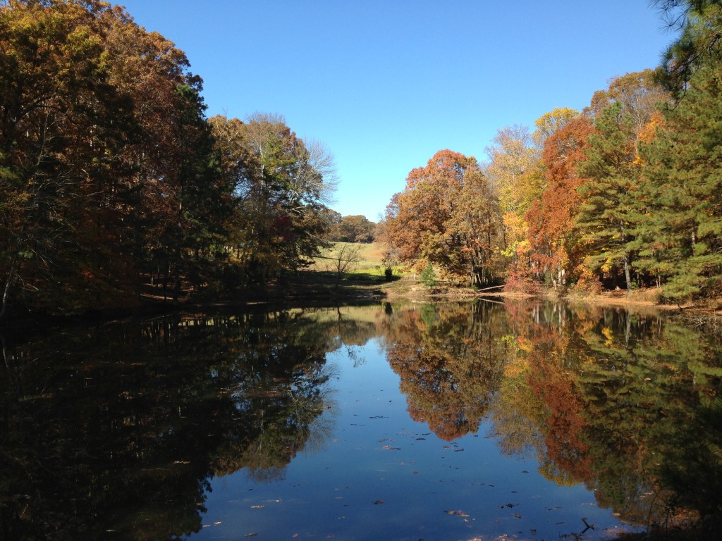 Fall view of a pond in Mabry Park